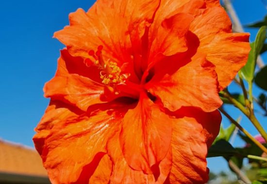 natureza-foto-01-1