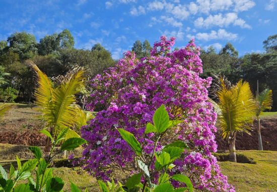 natureza-foto-13-1